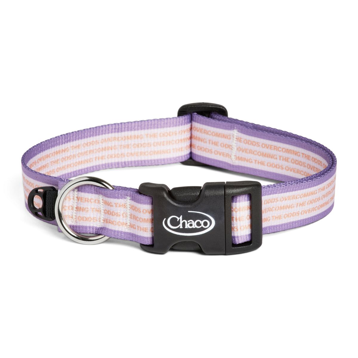 Dog Collar - Overcoming the Odds, Overcoming the Odds, dynamic 1