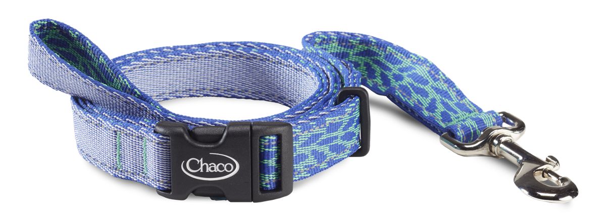 chaco dog