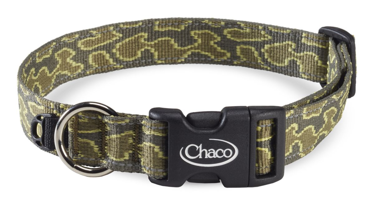 Chaco smokey the store bear dog collar