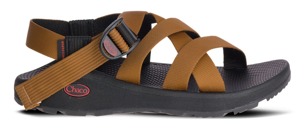 Chaco best sale cloud mens