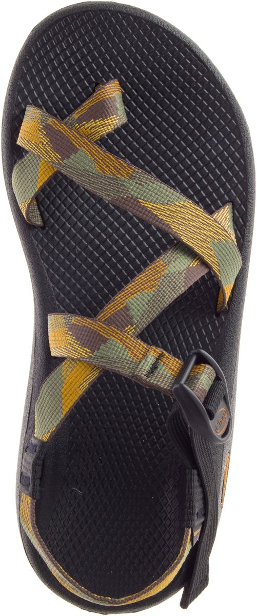 z2 cloud chacos