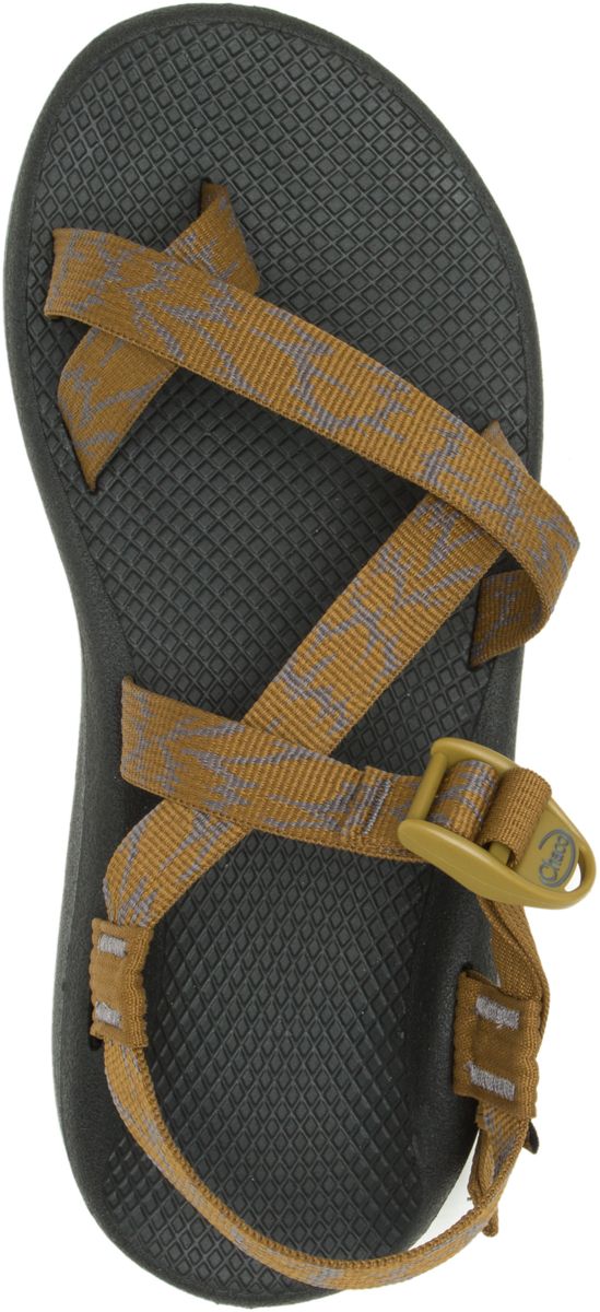 Z/Cloud 2 Cushioned Sandal, Aerial Bronze, dynamic 2