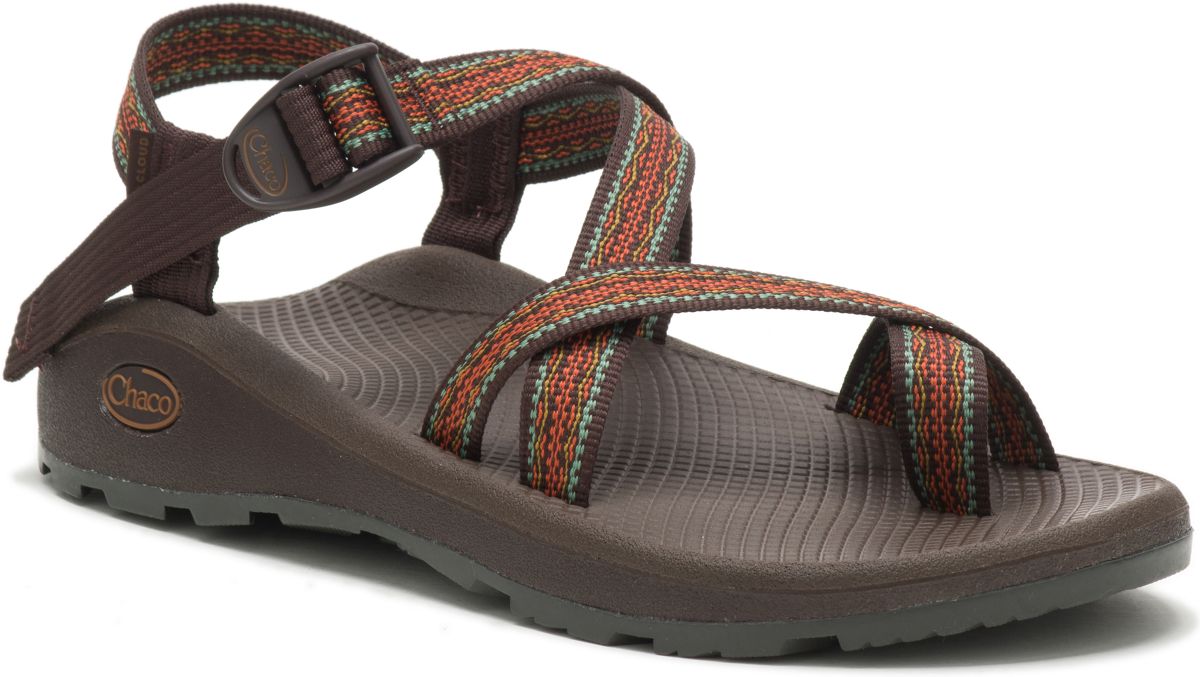 Z/Cloud 2 Adjustable Strap Cushioned Sandal, Essence Java, dynamic 2