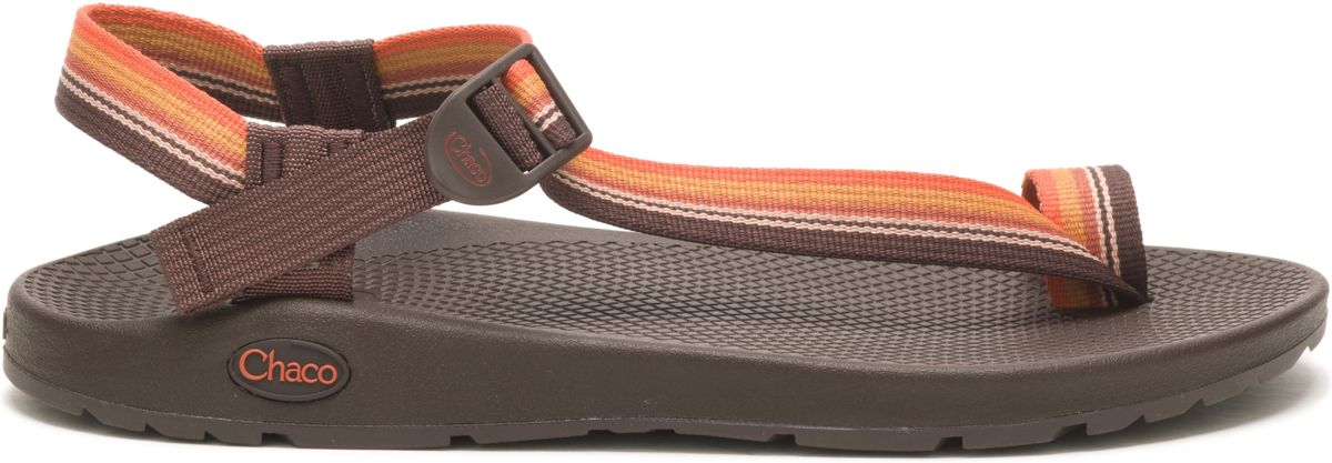 Teva Dog Leash in Pink/Orange