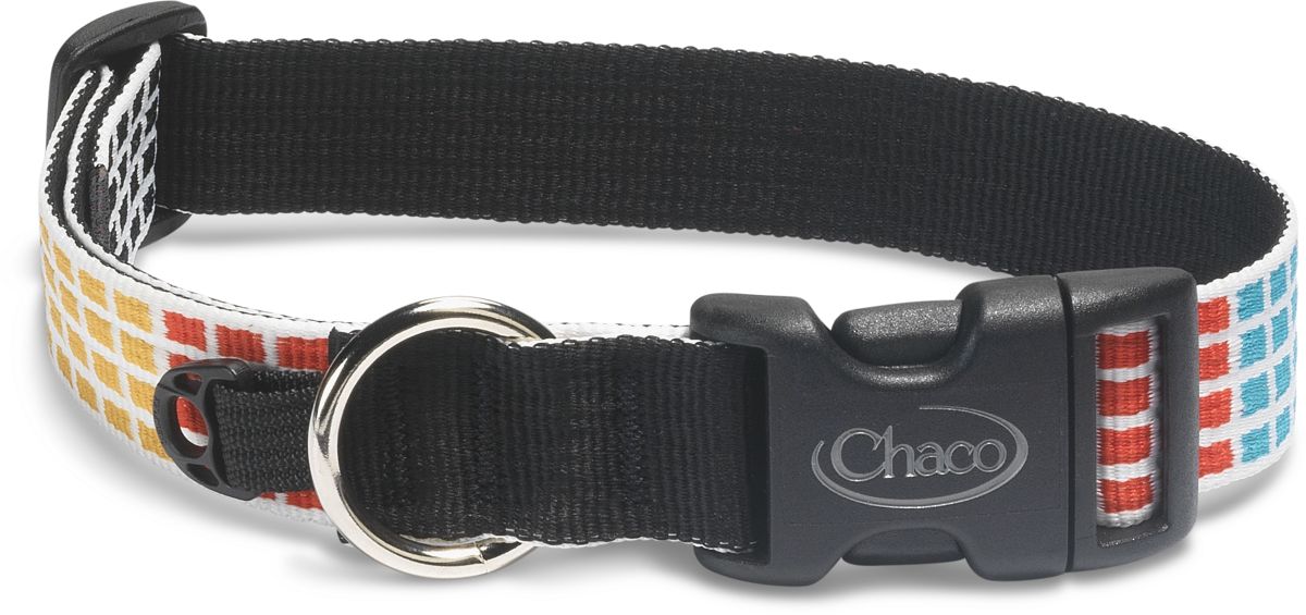 Chaco dog collar and leash sale