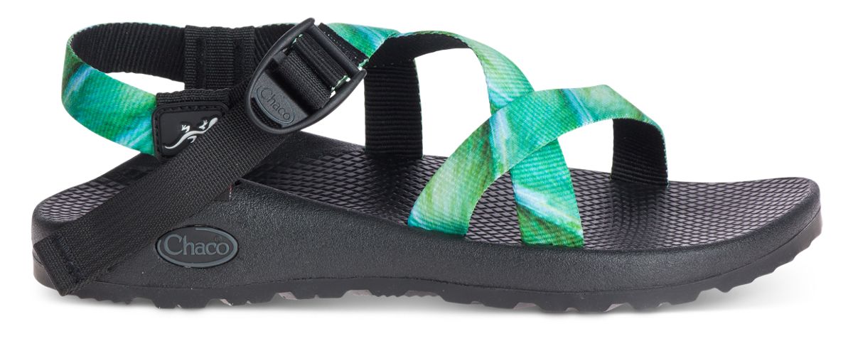 chaco z1 sale