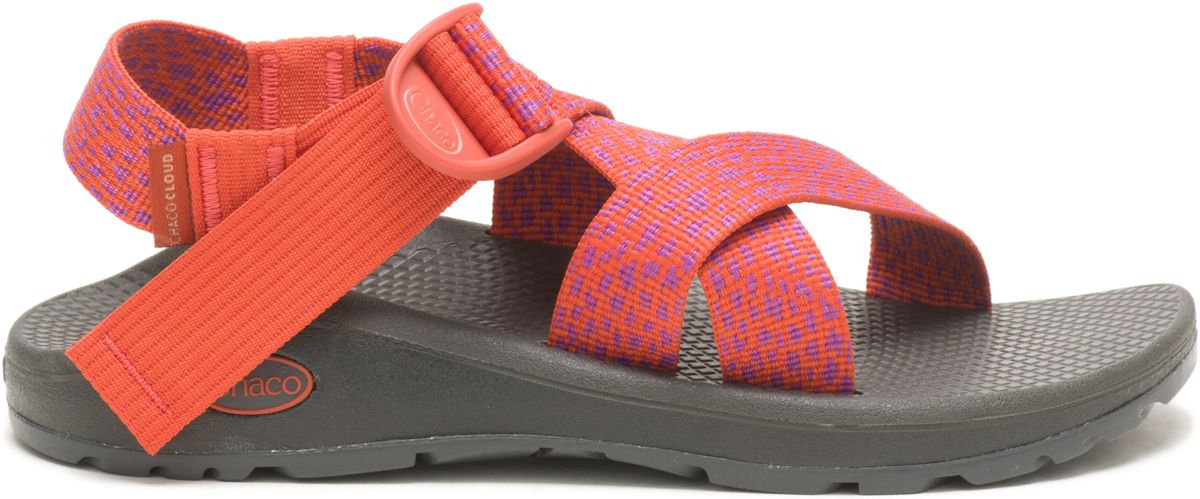 Chaco women's mega 2025 z cloud