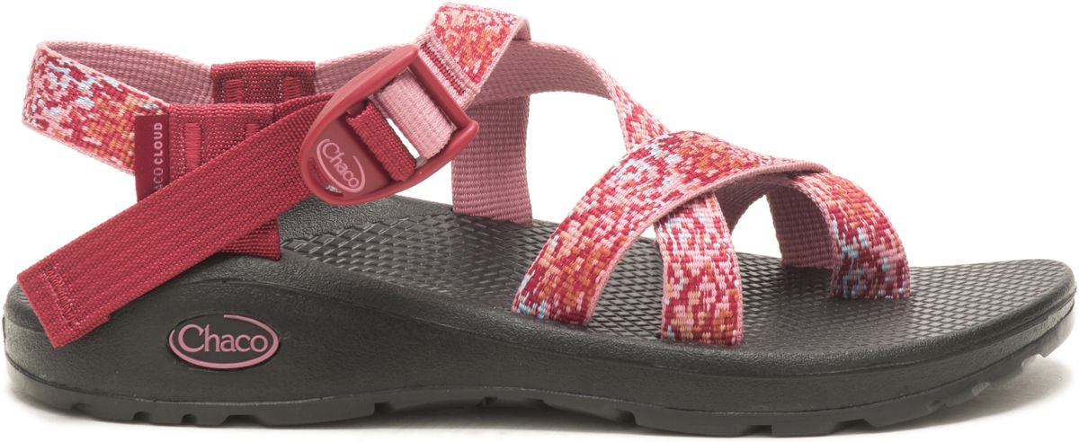 Z/Cloud 2 Cushioned Sandal, Spray Rhubarb, dynamic 1