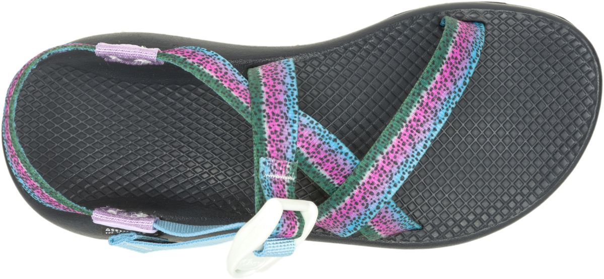 Z/1 Adjustable Strap Classic Sandal, Rainbow Trout, dynamic 3