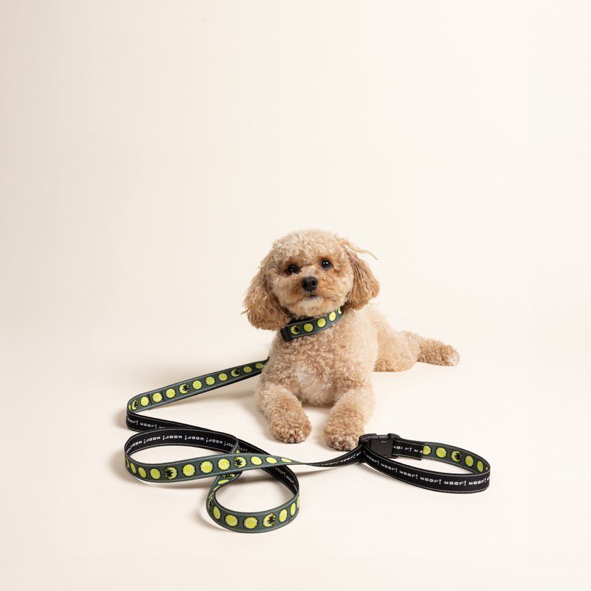 Woof Woof Leash, Chewin' Dark Green, dynamic 2