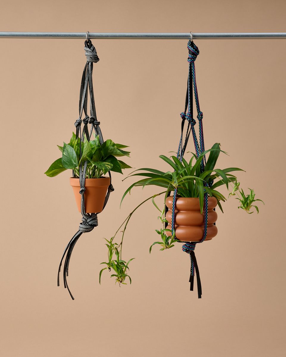 DIY Plant Holder, Flare Navy Night, dynamic 2