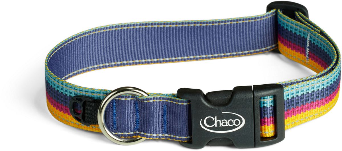 Chaco custom 2025 dog collar