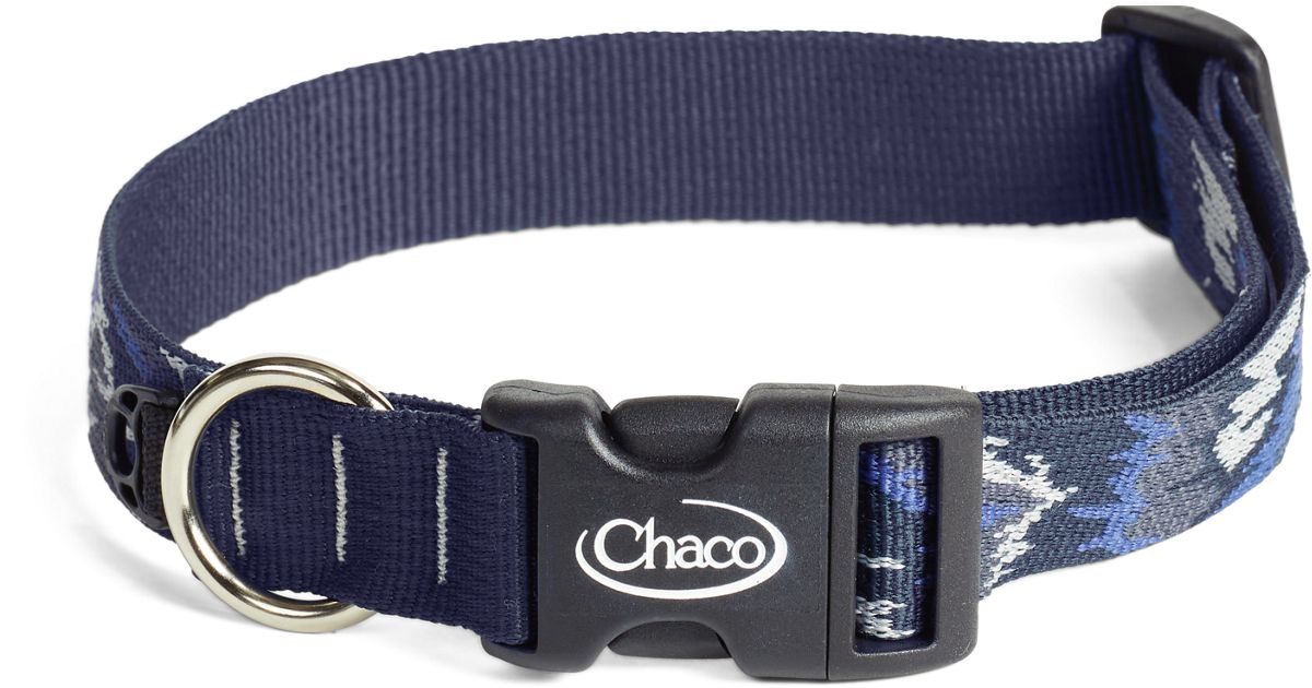 Chaco shop dog leash