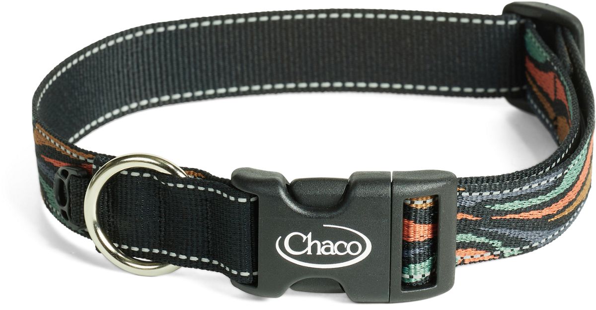 Dog Collars Leashes Chaco