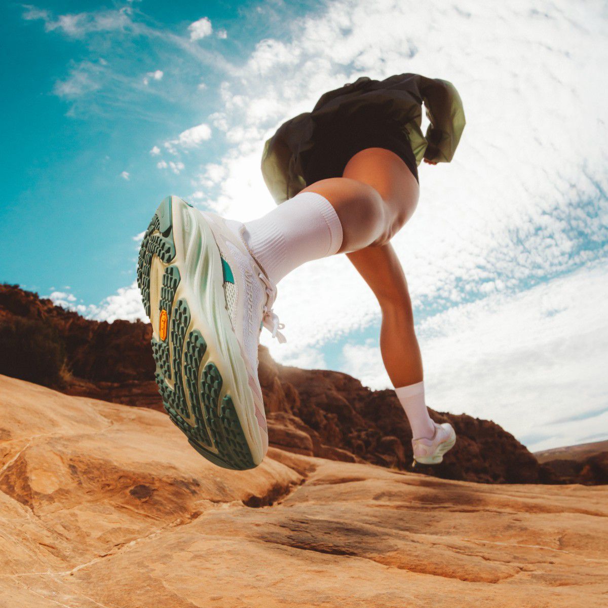 ProMorph, Pigeon/Limone, dynamic 7