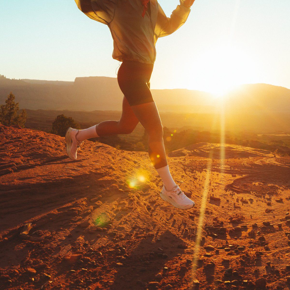 ProMorph, Pigeon/Limone, dynamic 8