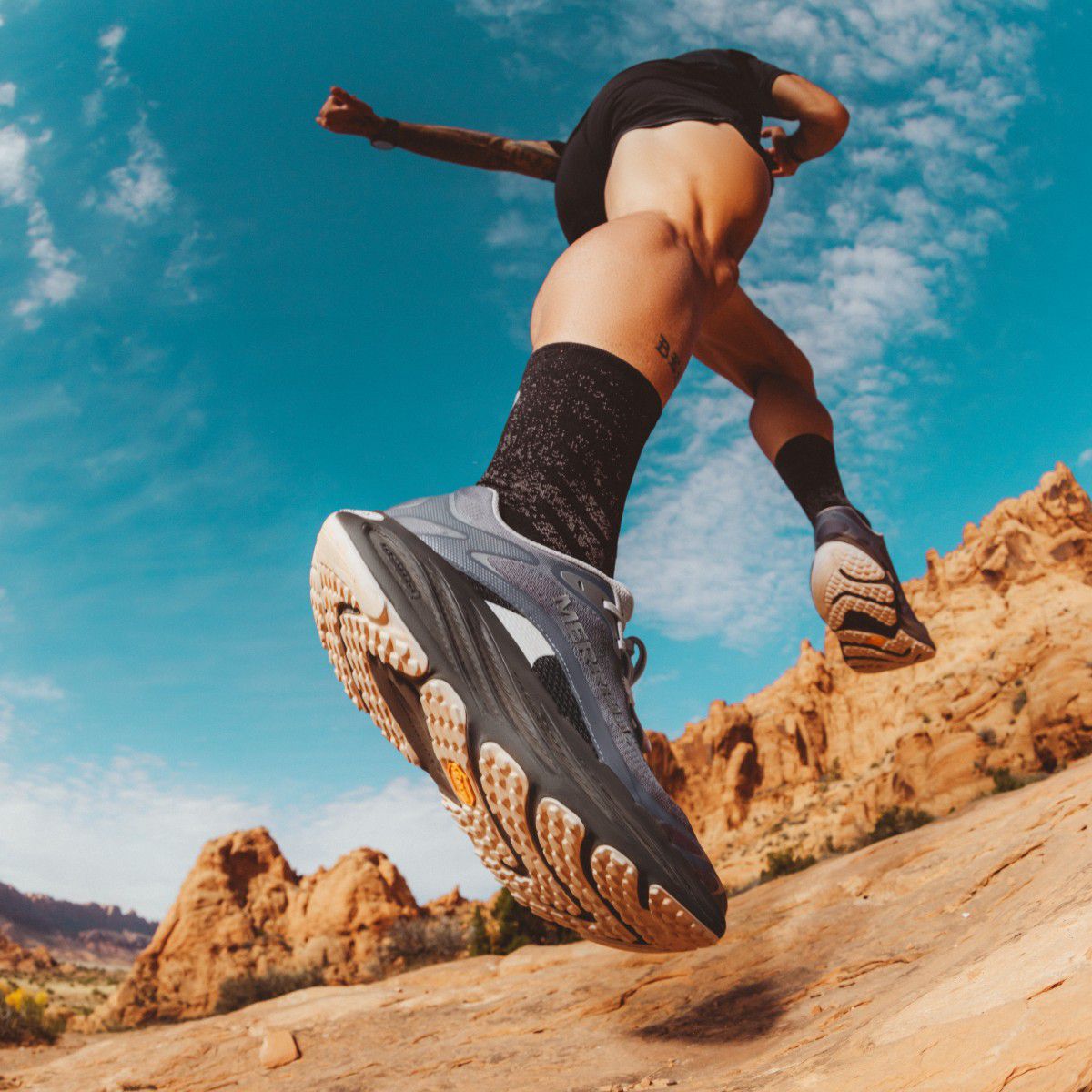 ProMorph, Pigeon/Limone, dynamic 8