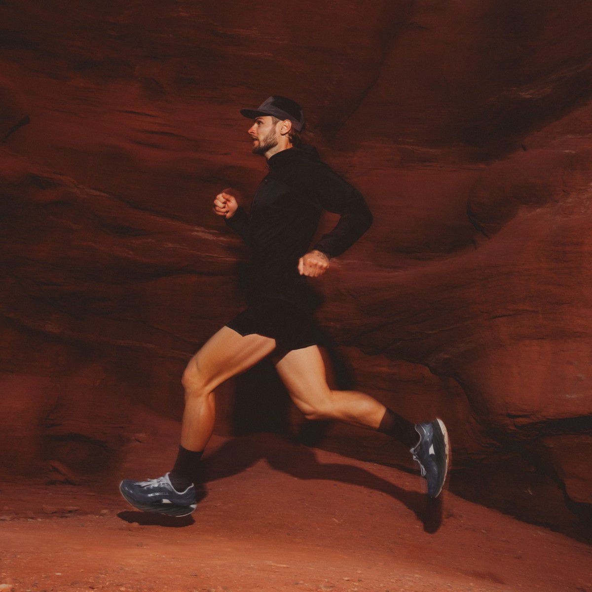 ProMorph, Pigeon/Limone, dynamic 7