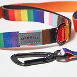Dog Leash, Rainbow Pride, dynamic 2