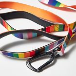 Dog Leash, Rainbow Pride, dynamic 3