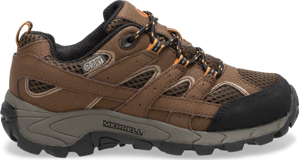 Moab 2 Low Lace Waterproof Sneaker, Earth, dynamic