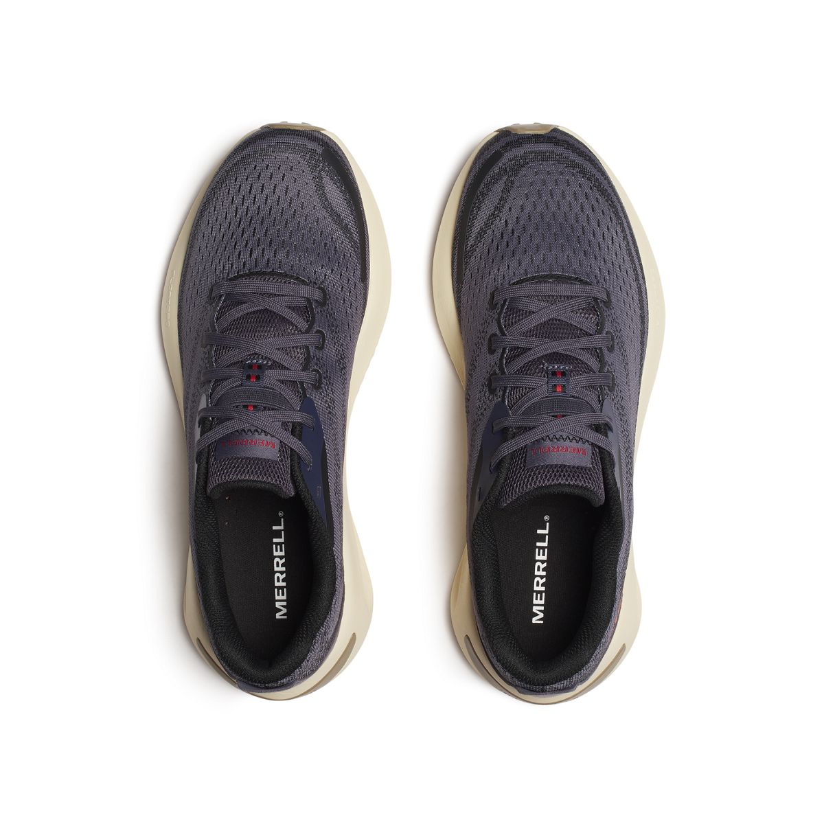 Morphlite, Comet, dynamic 3