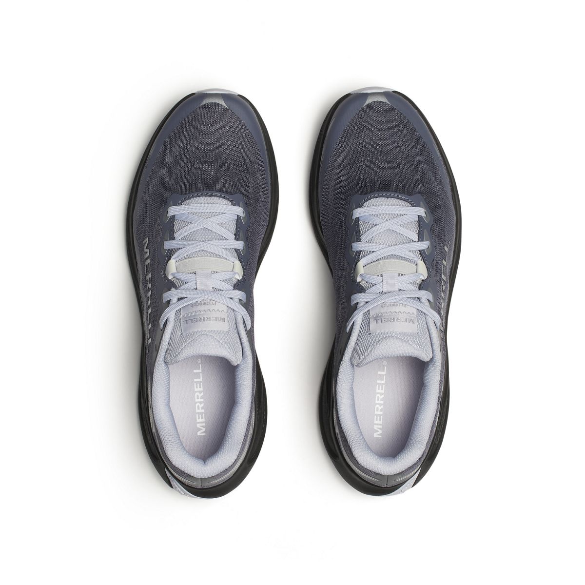 ProMorph, Comet, dynamic 3