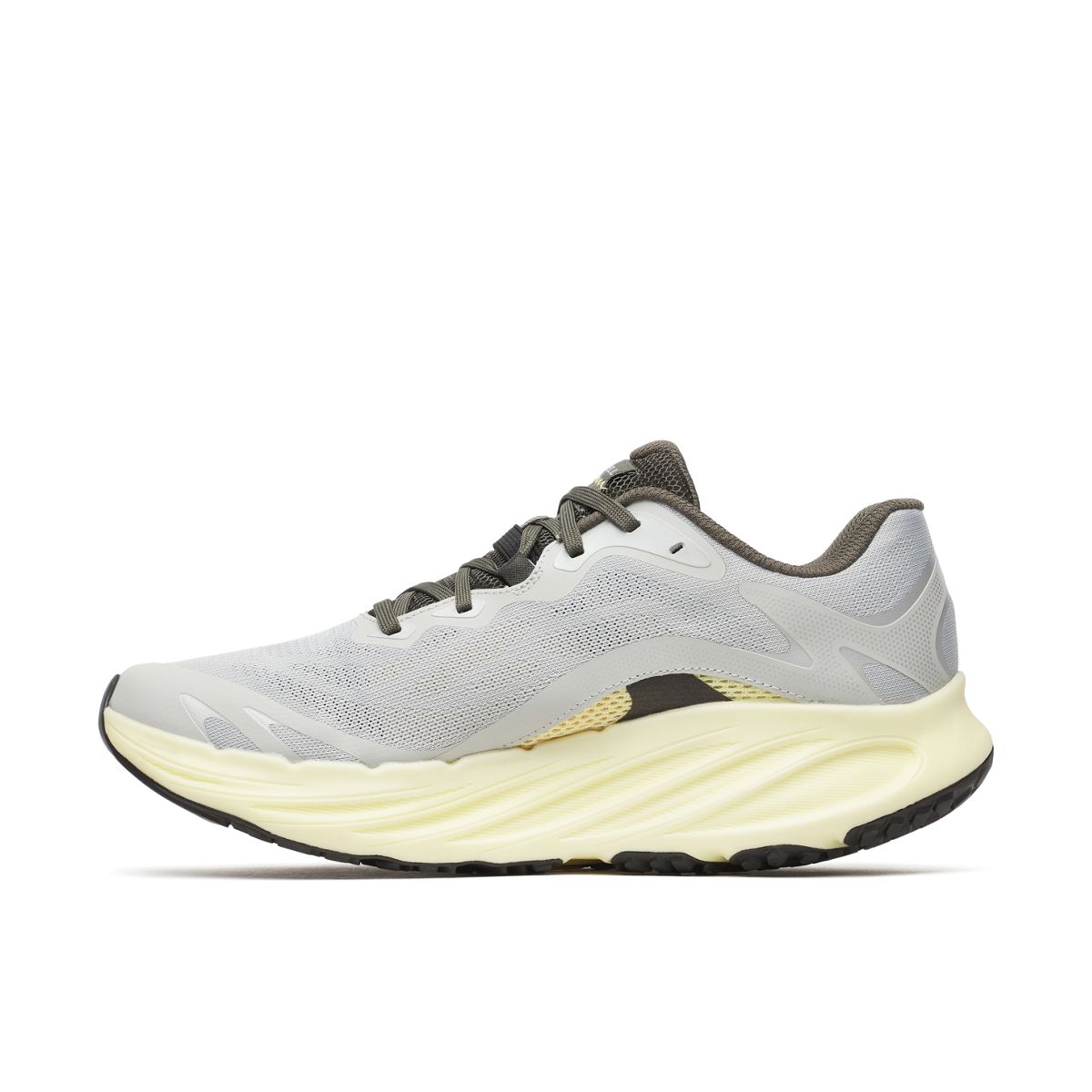 ProMorph, Pigeon/Limone, dynamic 5