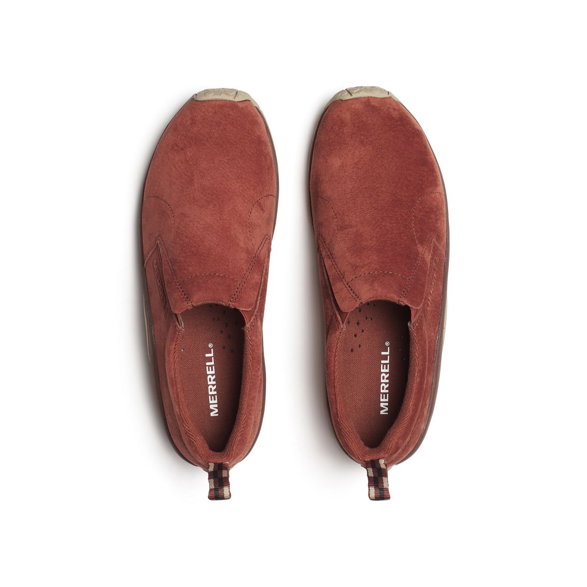 Jungle Moc, Sequoia, dynamic 3