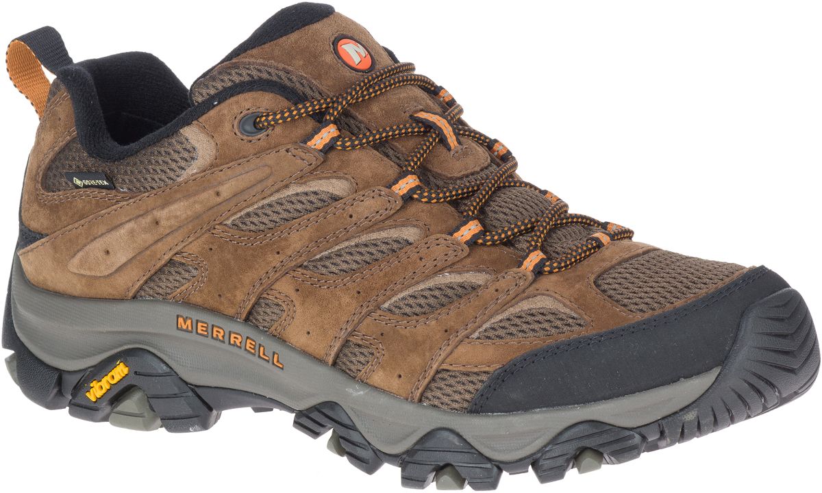 Moab 3 GORE-TEX®, Earth, dynamic 2