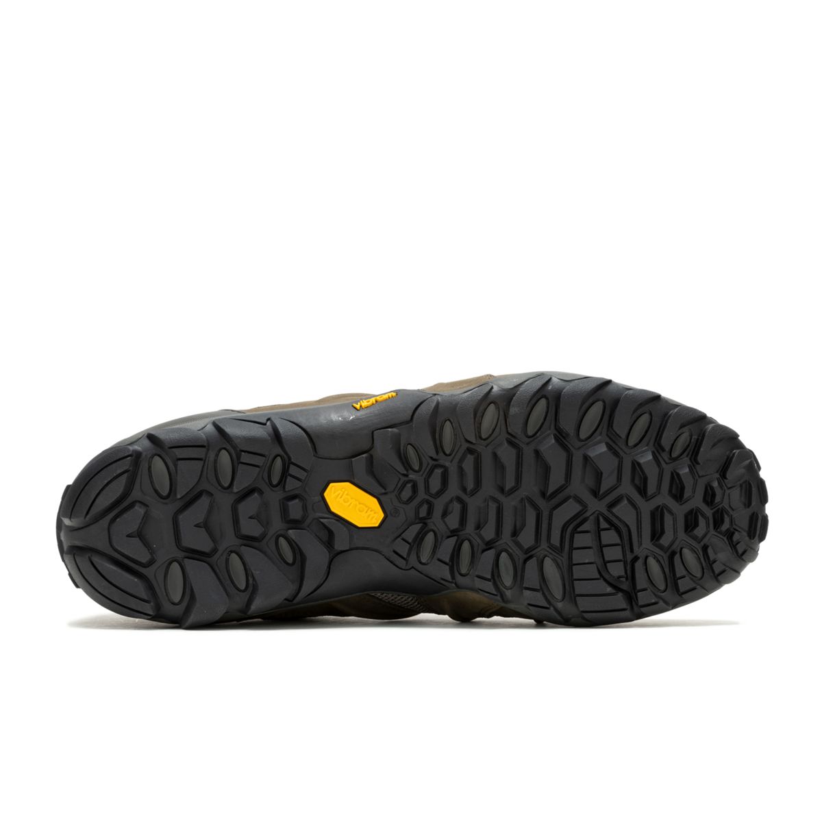 Chameleon 8 Stretch