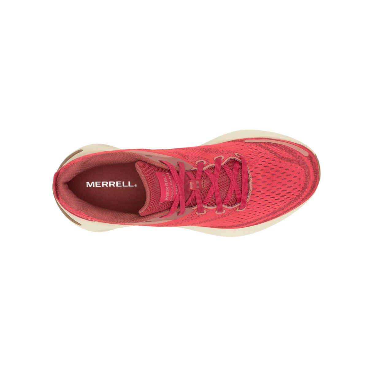 Morphlite, Crimson, dynamic 3