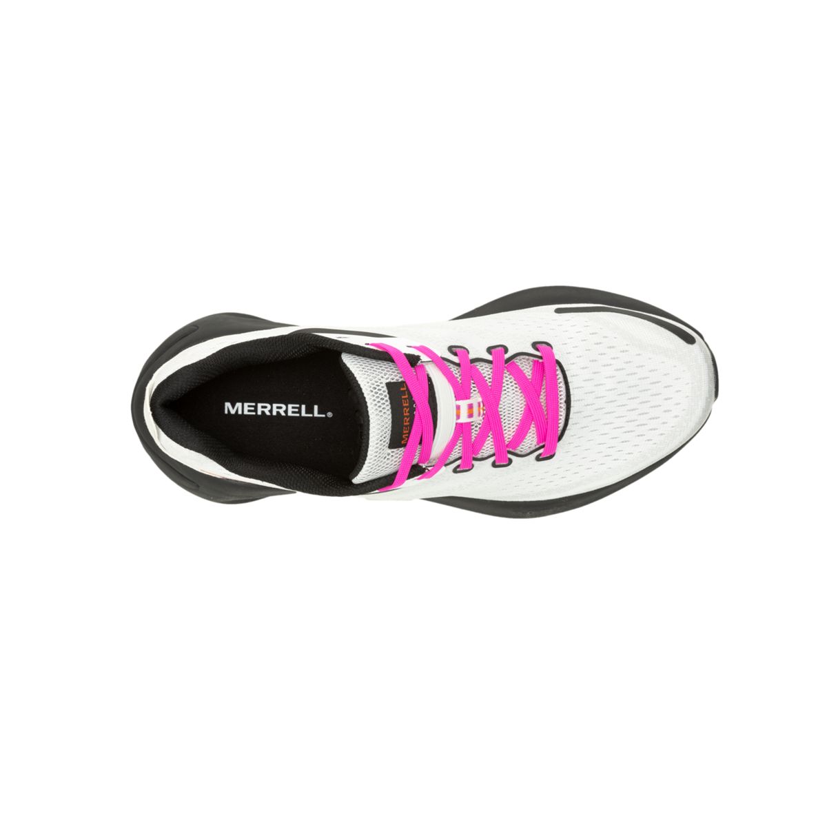 Morphlite, White/Multi, dynamic 3