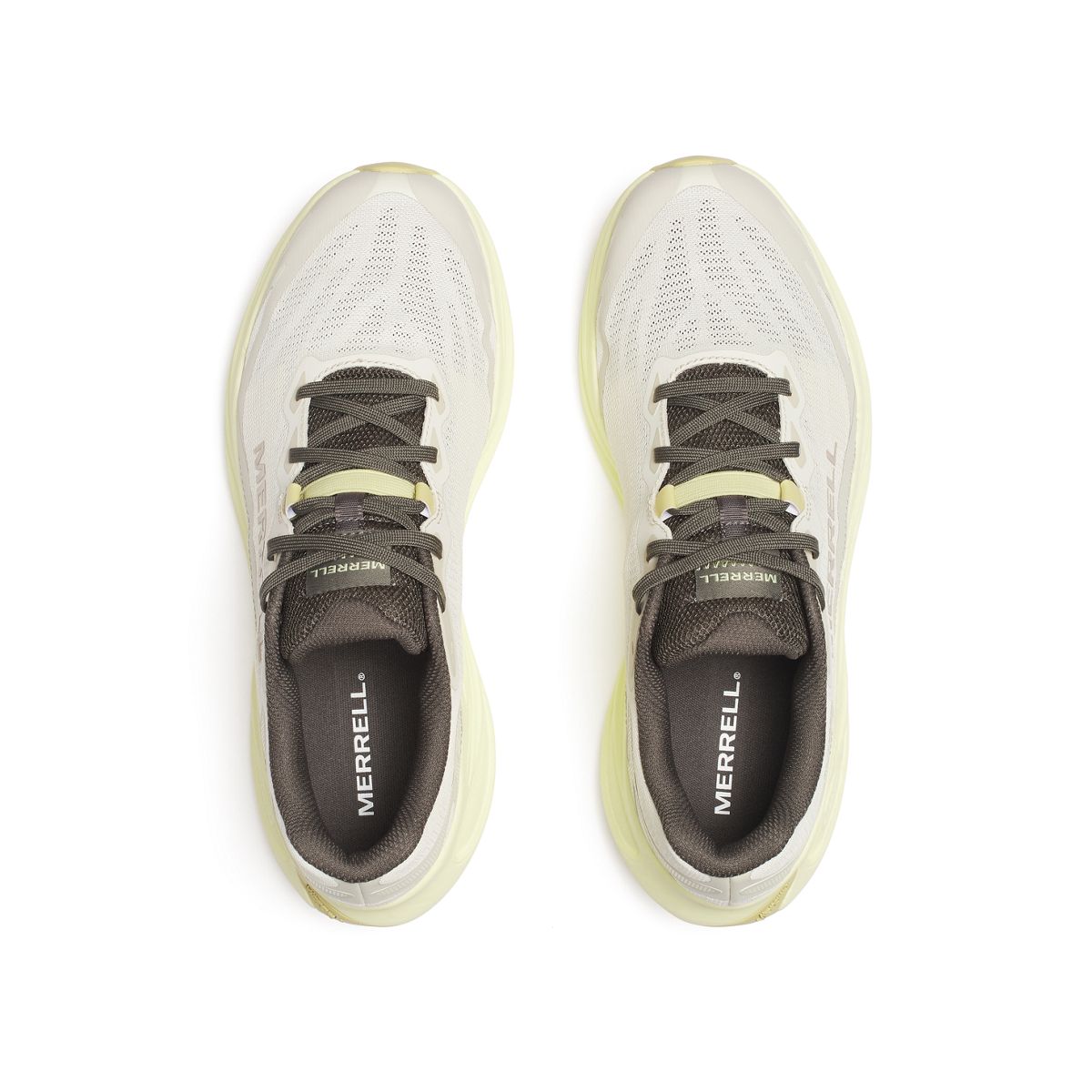 ProMorph, Stucco/Nori, dynamic 6