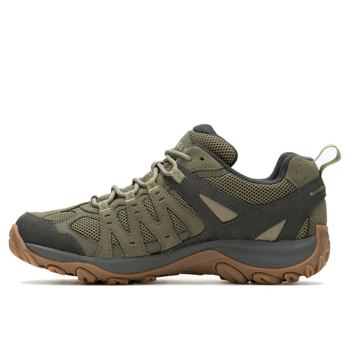 Accentor 3, Olive/Moss, dynamic 5