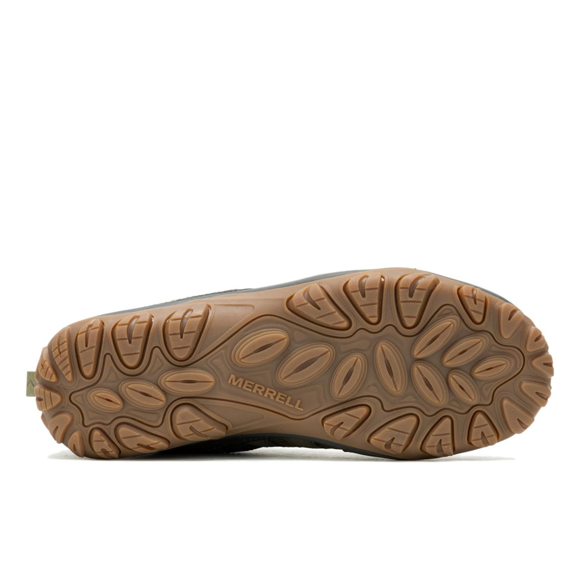 Accentor 3, Olive/Moss, dynamic 6