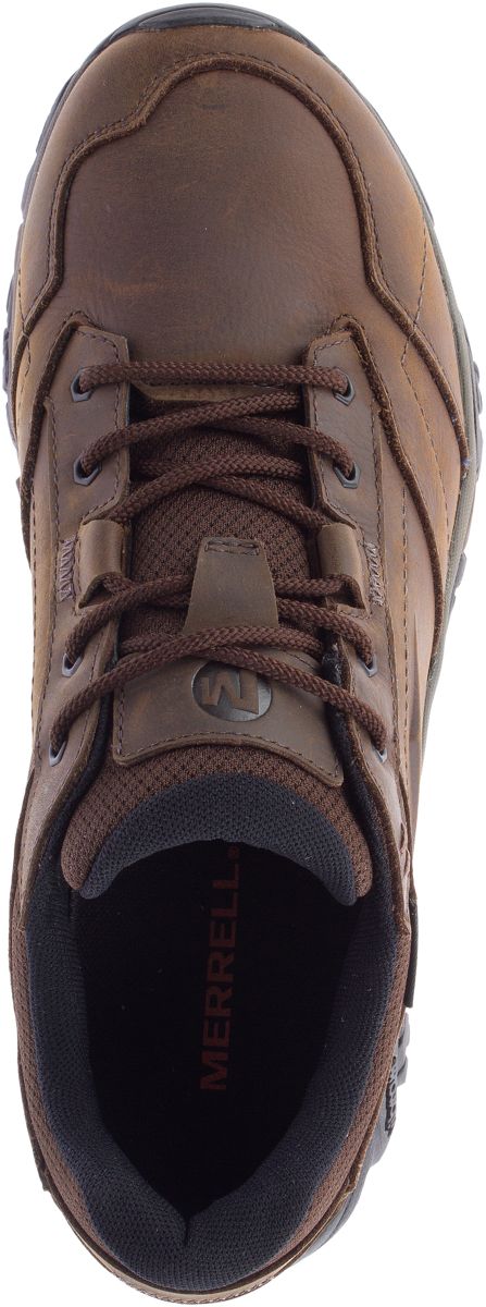 merrell moab dark earth