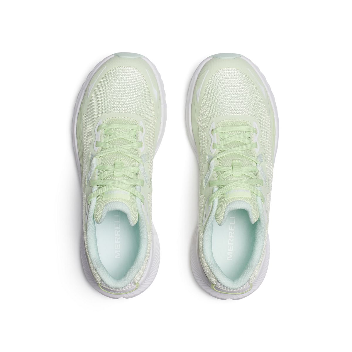 Agility Trail, Aloe, dynamic 3