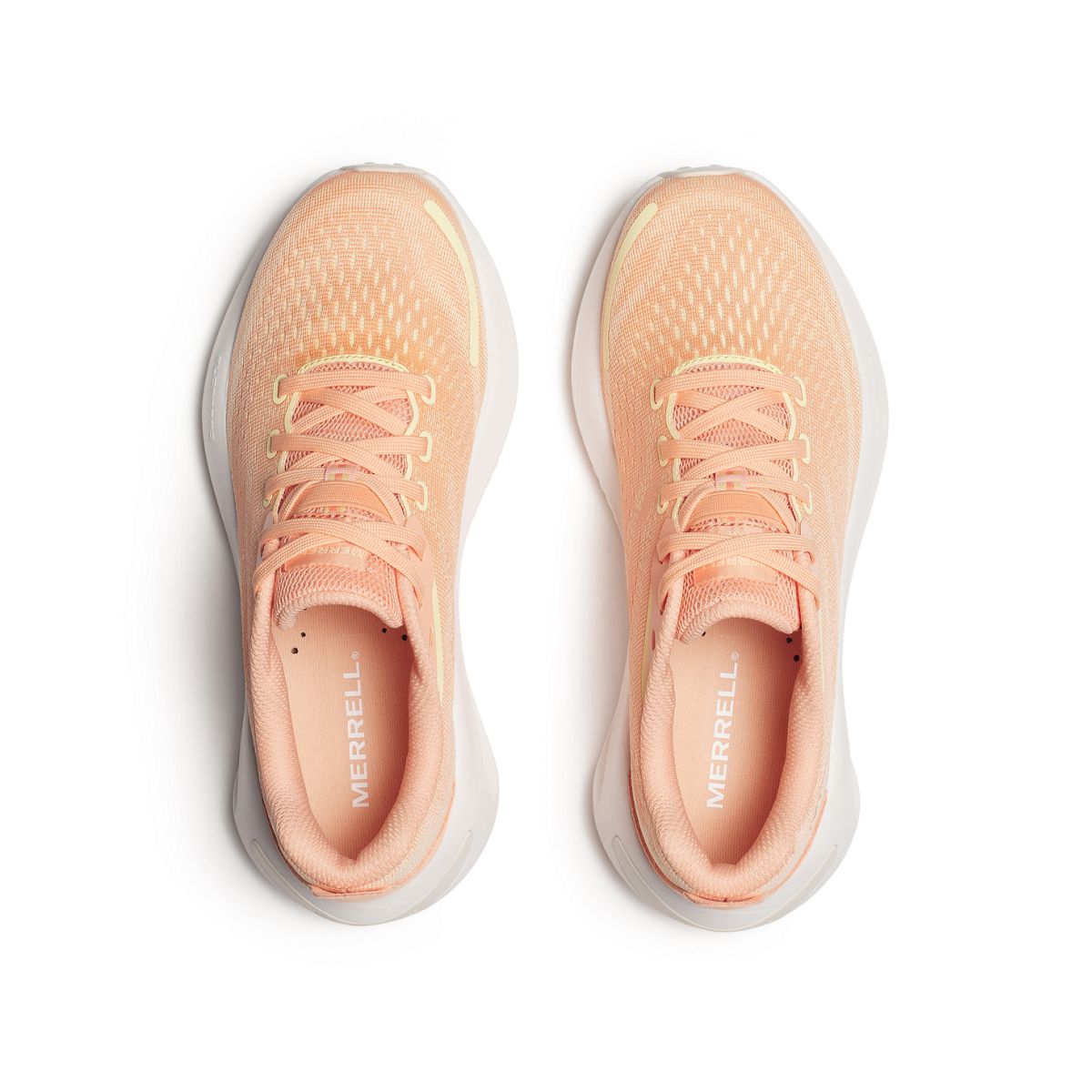 Morphlite, Peach, dynamic 3