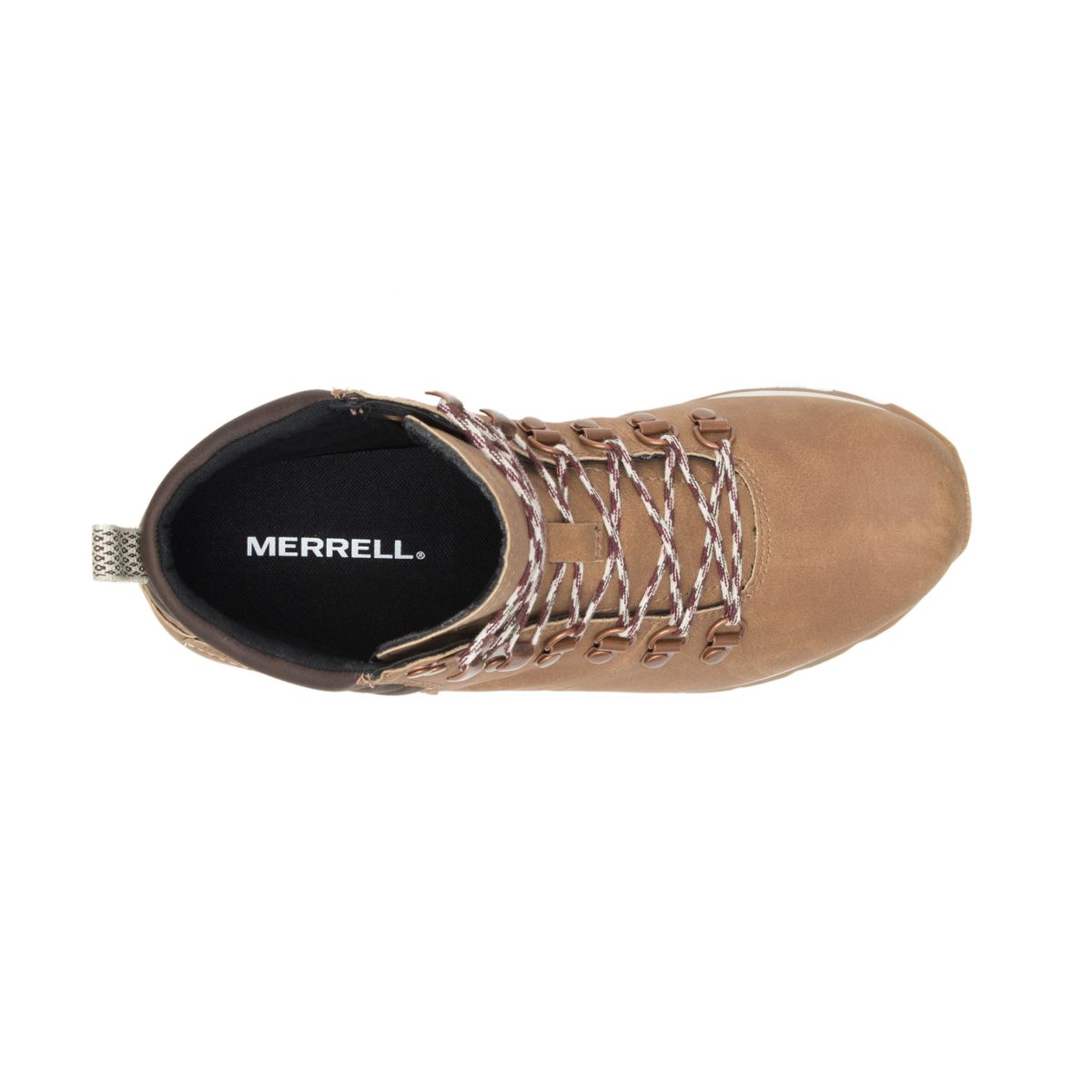 Alpine Hiker, Mushroom, dynamic 3