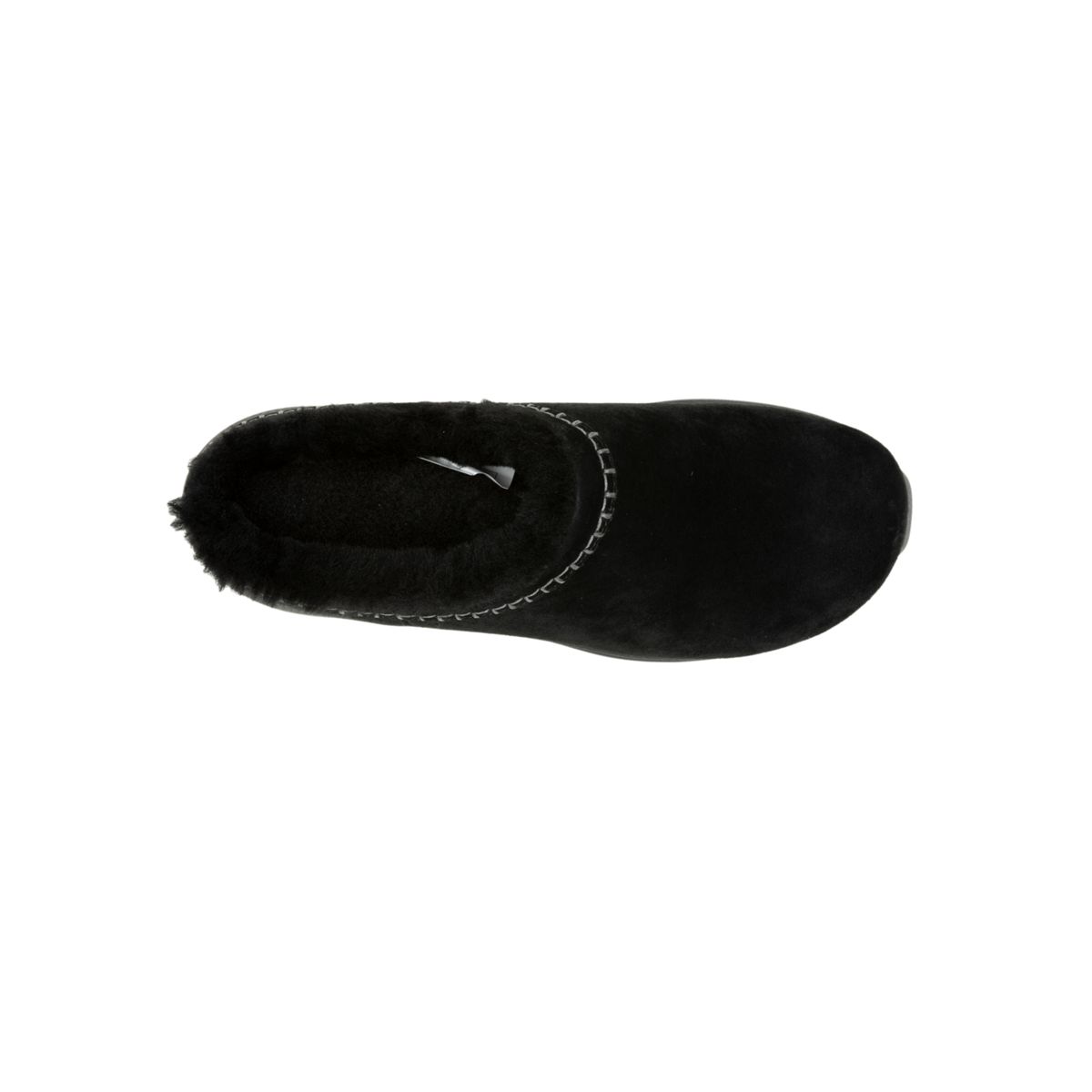 Encore Ice 5, Black, dynamic 3