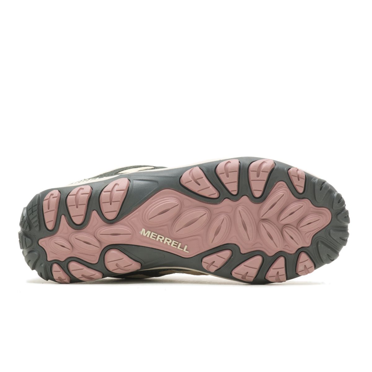 Accentor 3, INCENSE, dynamic 5