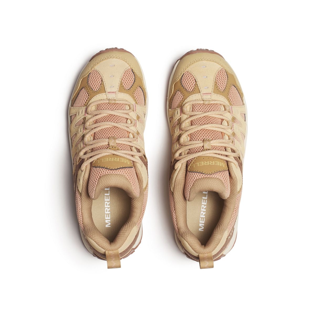 Accentor 3, Tan Rose, dynamic 6