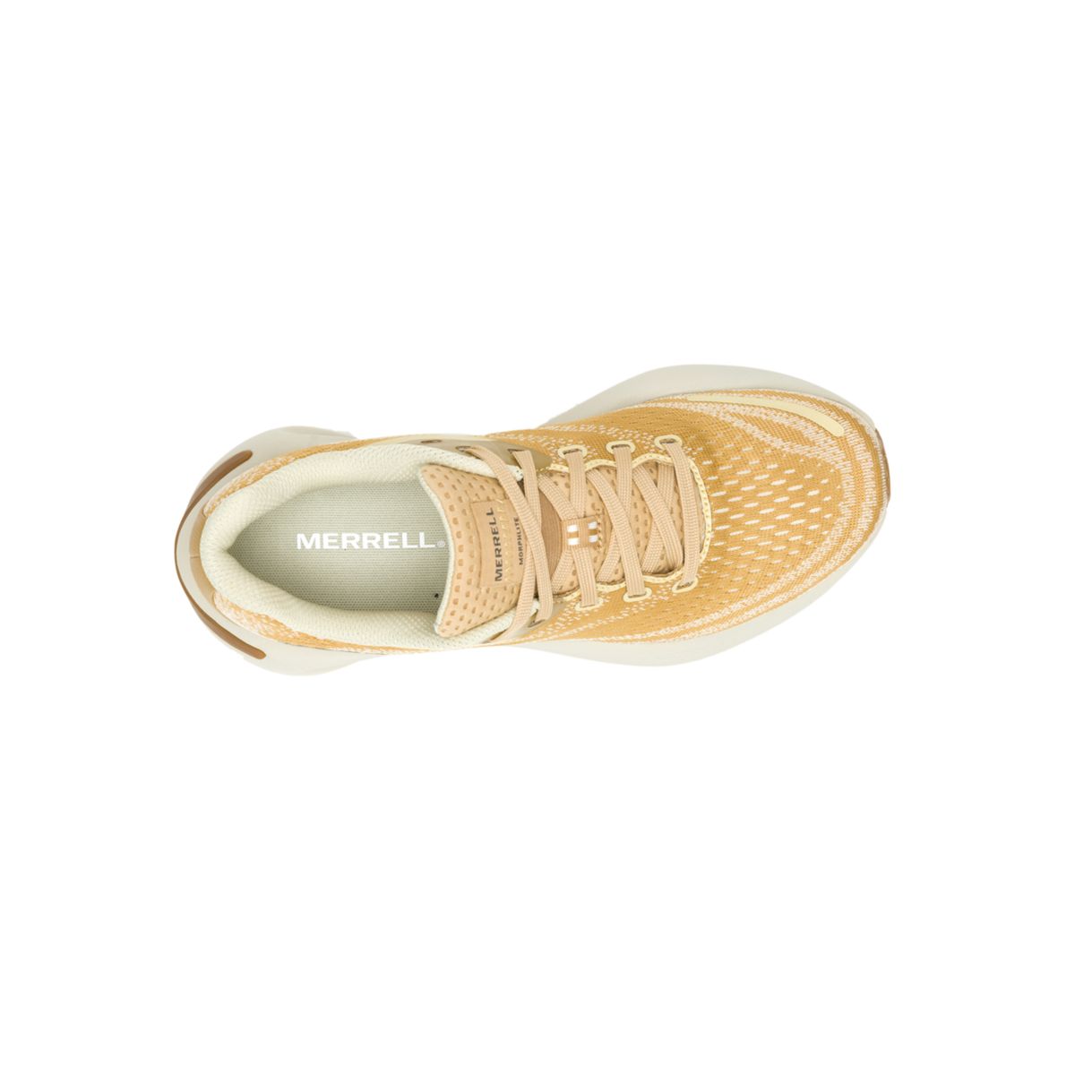 Morphlite GORE-TEX®, Tan, dynamic 3