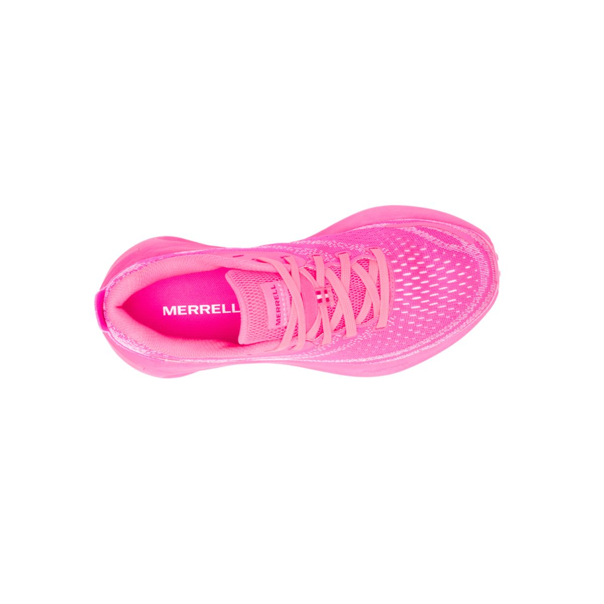 Morphlite, Knock Out Pink, dynamic 3
