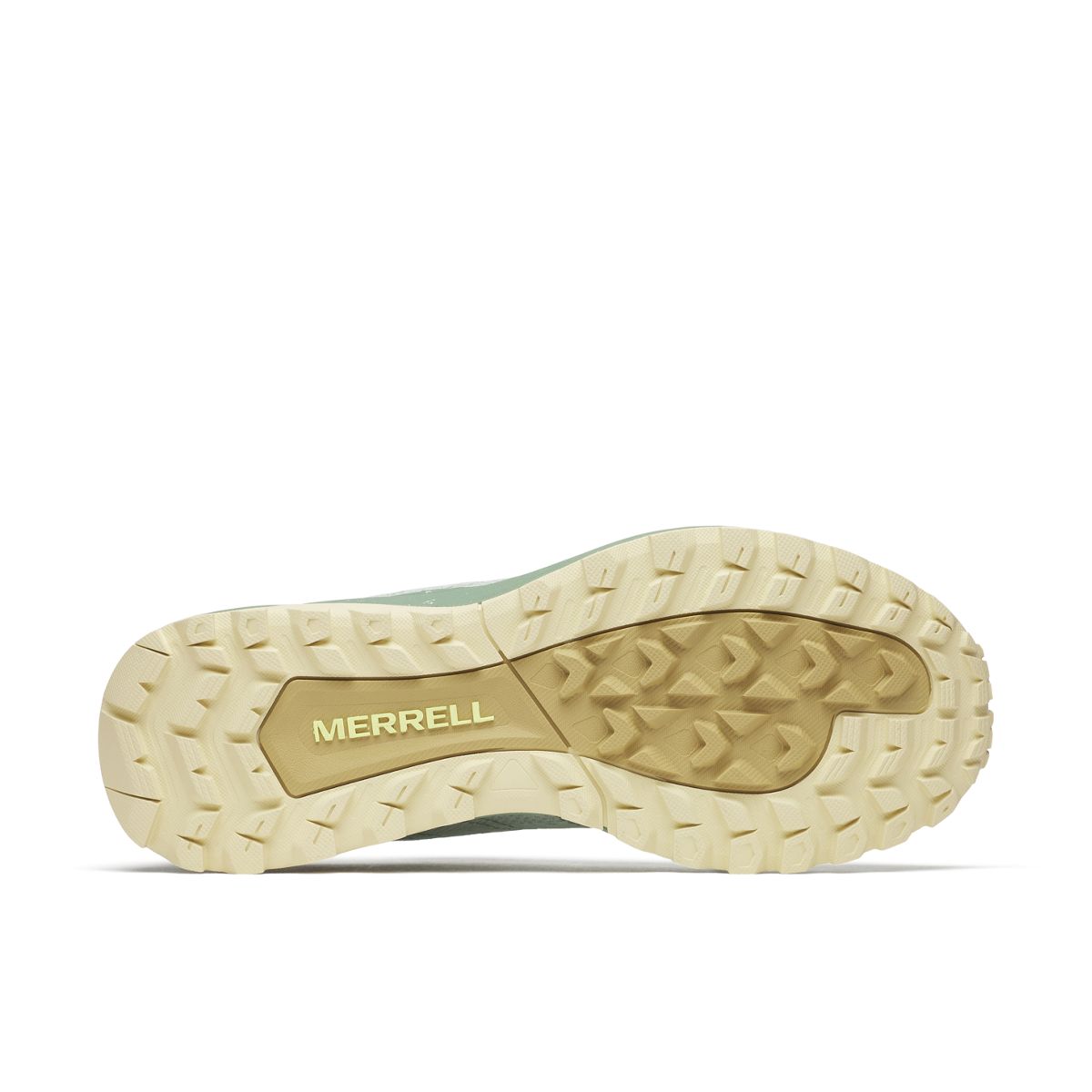 Fly Strike, Sprig, dynamic 5