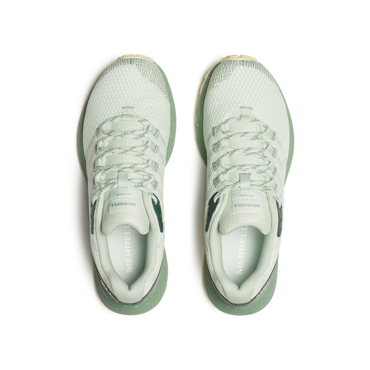 Fly Strike, Sprig, dynamic 6
