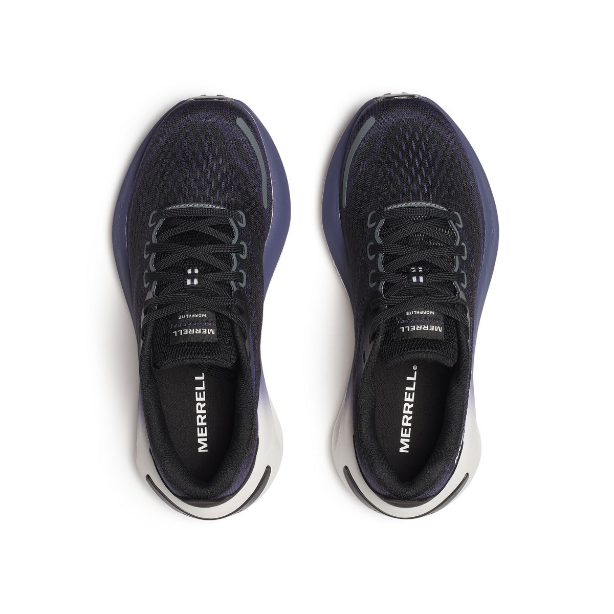 Morphlite, Black/Arcane, dynamic 6