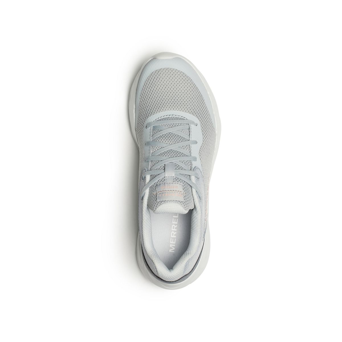 Morphaxis, Gale, dynamic 6