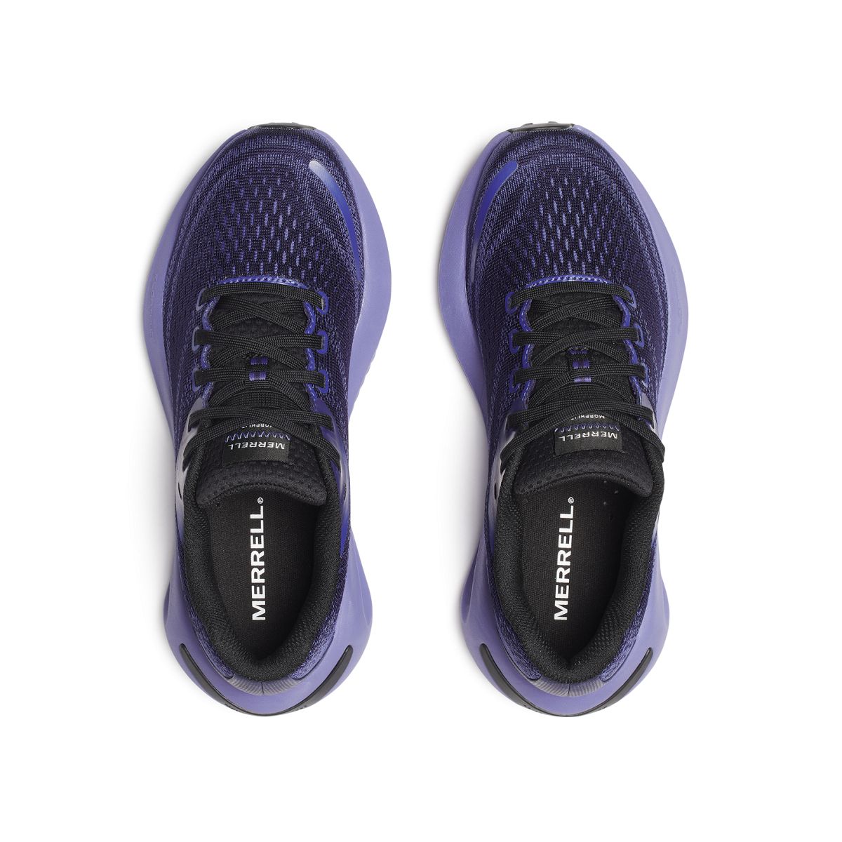 Morphlite GORE-TEX®, Arcane, dynamic 6